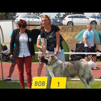IDS CZĘSTOCHOWA'19 - BAGIRA